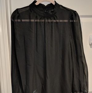 Sheer Blouse